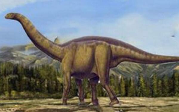 开江龙：四川大型食肉恐龙（长9米/距今1.5亿年前）