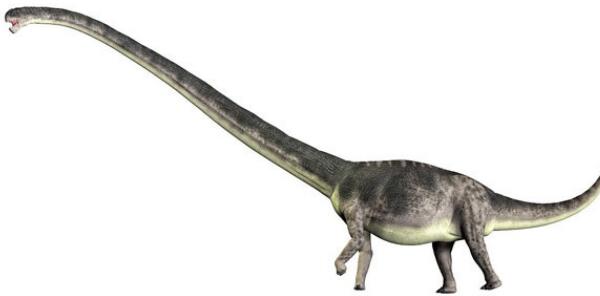 开江龙：四川大型食肉恐龙（长9米/距今1.5亿年前）