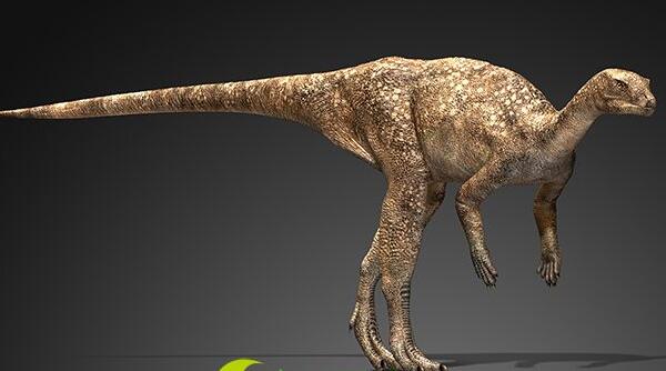 文雅龙：四川大型四足食草恐龙（长9米/距今1.61亿年前）