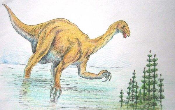 易门龙：云南大型食草恐龙（长9米/距今1.96亿年前）