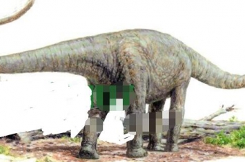 澳洲南方龙：澳大利亚食草恐龙（长15米/9800万年前）