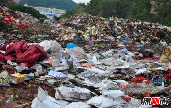 关于乱丢垃圾的危害：数百万动物死亡的罪魁祸首