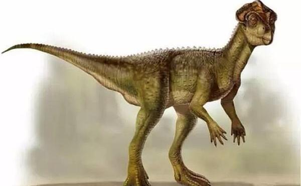 永川龙：亚洲最完整的食肉恐龙（长11米/1.63亿年前）