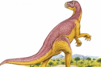 晓龙：四川小型植食性恐龙（长1米/食肉恐龙的最佳口粮）