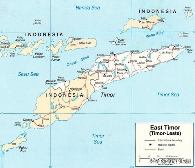 帝汶岛地形图,帝汶岛在地图中的位置