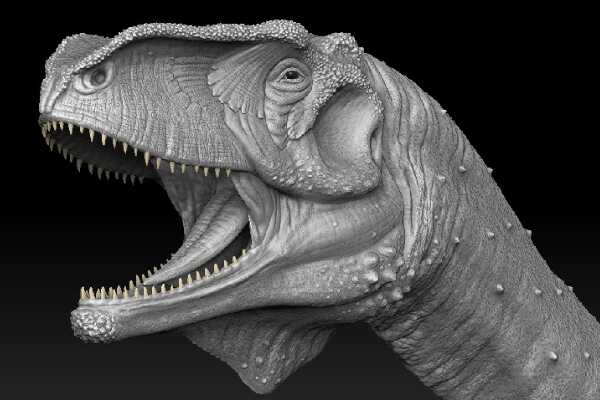 温顿巨龙：澳大利亚最大恐龙之一（长16米/1亿年前）