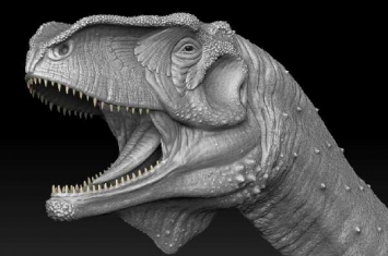 大型恐龙:隐面龙 最原始的阿贝力龙科(体长7米)