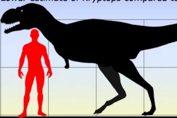 温顿巨龙：澳大利亚最大恐龙之一（长16米/1亿年前）