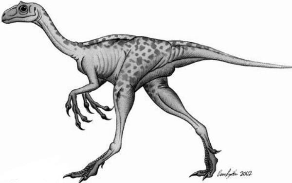 资中龙：四川大型食草恐龙（长9米/距今1.8亿年前）