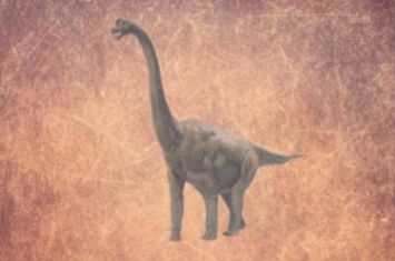 南方棱齿龙：阿根廷小型食草恐龙（长1.5米/8300万年前）