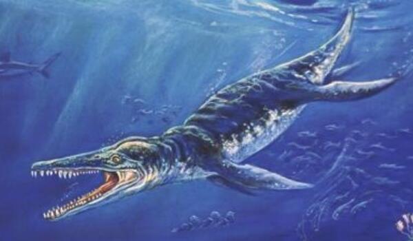 阿特拉斯科普柯龙：澳洲小型食草恐龙（长3米/1亿年前）