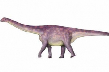 吉林大型恐龙:九台龙 仅有18节尾椎(长度达2米)