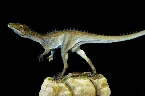 大型蜥脚类恐龙:约巴龙 体长16米(胸腔可站立一个成人)