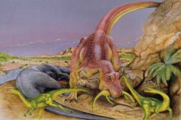 巨型蜥脚类恐龙:耆那龙 体长18米(足足一层半楼高)