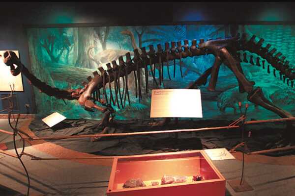 吉林大型恐龙:九台龙 仅有18节尾椎(长度达2米)