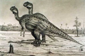 北美植食恐龙:小贵族龙 没有头冠的鸭嘴龙科(脸能藏食)