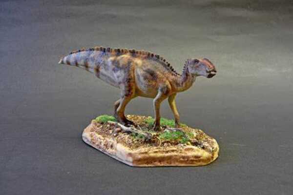 北美植食恐龙:小贵族龙 没有头冠的鸭嘴龙科(脸能藏食)