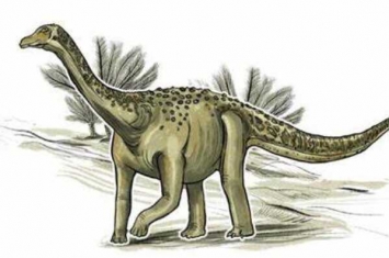巨型蜥脚类恐龙:耆那龙 体长18米(足足一层半楼高)