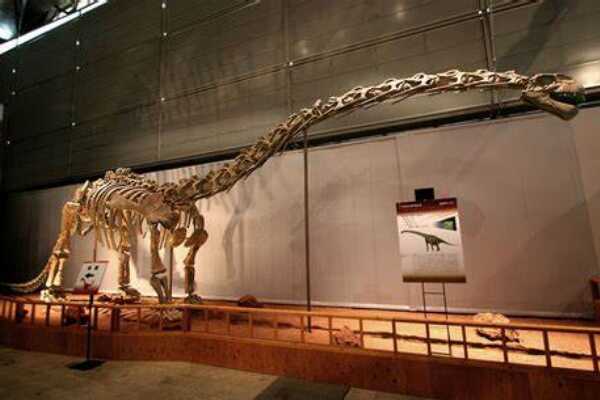 朝鲜龙:小型兽脚类肉食恐龙(体长仅1.5米/北朝鲜出土)