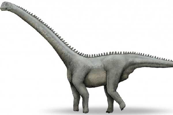 美丽龙:巨型沙漠蜥脚类恐龙(于新疆戈壁中发现)