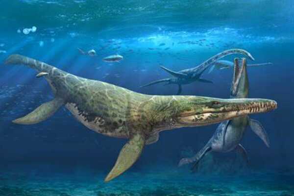 中亚植食恐龙:湖角龙 白垩纪最稀少的角龙(仅出土牙齿)