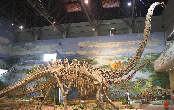 远食龙：阿根廷出土的恐龙（体型未知/距今2亿年前）
