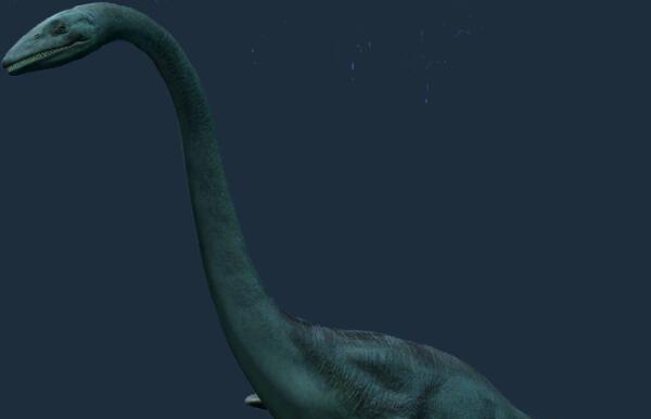 快达龙：澳大利亚小型食草恐龙（长1.8米/距今1.1亿年前）