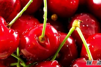 樱桃对人体有什么好处?樱桃的十大营养价值和功效