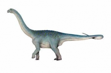 海特兰龙:亚洲巨型蜥脚类恐龙(仅一节尾椎出土)