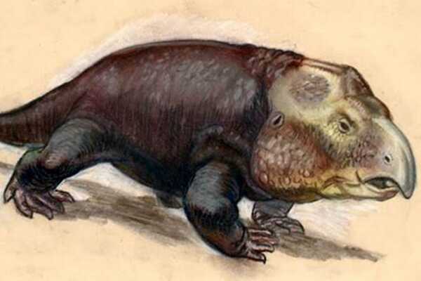南非杂食恐龙:康纳龙 仅出土一颗牙齿(种属遭受质疑)