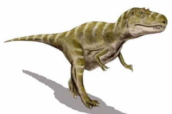 奥卡龙：最完整的阿贝力龙科恐龙（长4.3米/阿根廷出土）