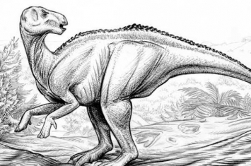 列弗尼斯氏龙:大型植食恐龙(体长8米/仅出土颅骨)