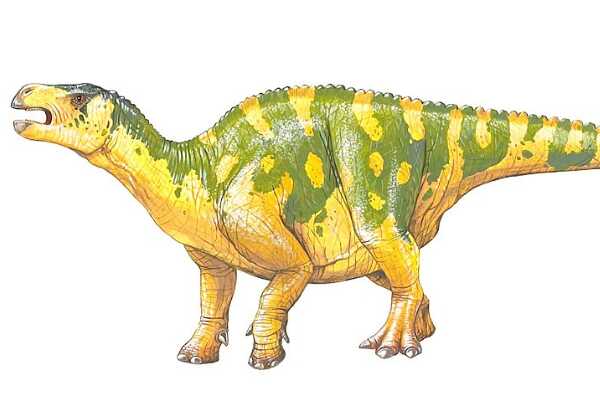 秃鹫龙：阿根廷大型食草恐龙（长17米/距今8600万年前）