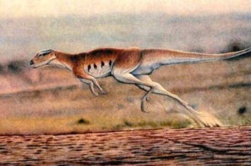 莱索托龙:非洲小型植食恐龙(骨骼中空/奔跑速度快)
