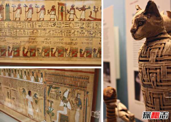 埃及人是什么人种?关于埃及15大鲜为人知的事情