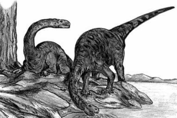 临河盗龙:内蒙古小型肉食恐龙(体长仅1.8米/速度极快)