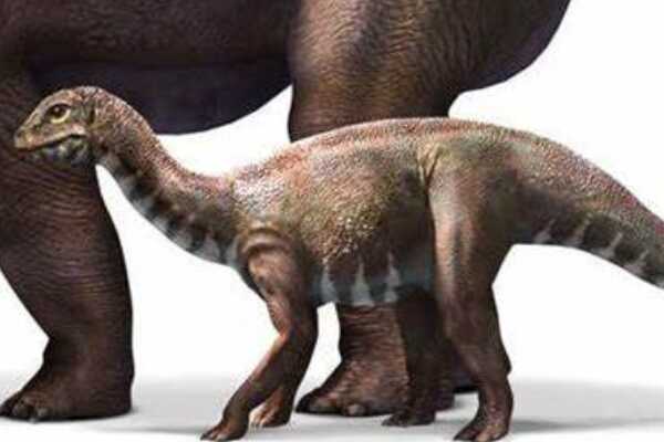 大盗龙:南美顶级肉食恐龙(光是镰刀爪就长35厘米)