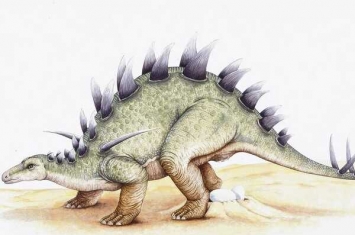 铠甲龙:欧洲小型剑龙科(体长4米/出土尾刺化石)