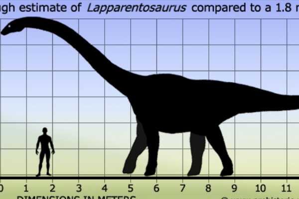 魁纣龙：阿根廷顶级肉食恐龙（长13米/距今1.18亿年前）