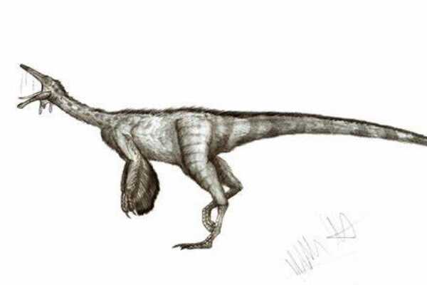 拉伯龙:非洲小型腕龙科恐龙(长1.8米/生于侏罗纪中期)