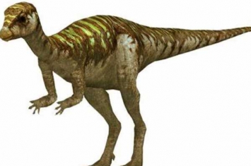 雷利诺龙:极地小型恐龙(拥有极强夜视能力/长90厘米)