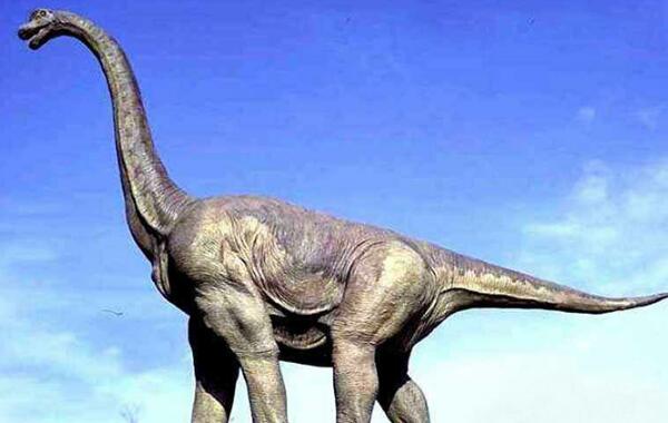 林孔龙：阿根廷大型食草恐龙（长14米/距今8000万年前）
