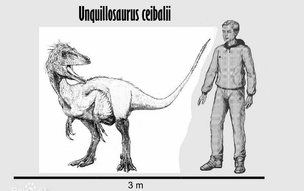 利加布龙:南美超巨型恐龙(体长24米/生于1.2亿年前)