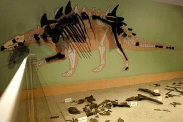 大黑天神龙:蒙古小型驰龙科恐龙(长70厘米/酷似翼类)