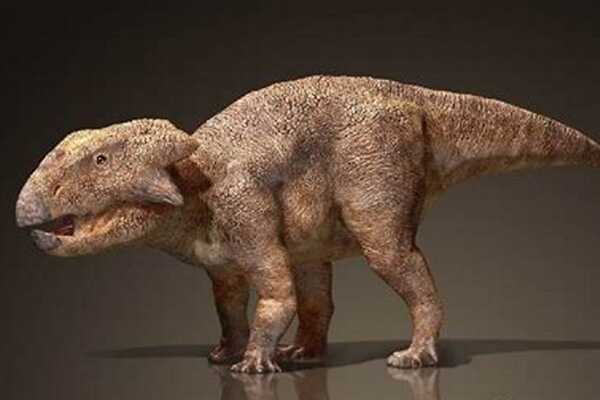 马什龙:北美中型恐龙(长5米/右肠骨具有病理骨折)