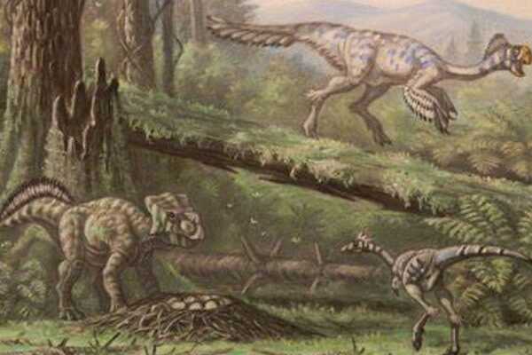 马什龙:北美中型恐龙(长5米/右肠骨具有病理骨折)