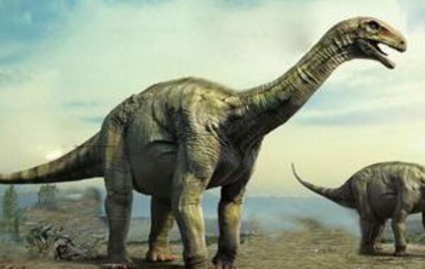 迈摩尔甲龙:北美小型恐龙(长2.7米/生于1.5亿年前)