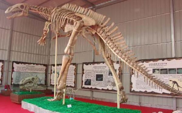葡萄园龙：恐龙时代的长颈鹿（长15米/形态与长颈鹿相似）