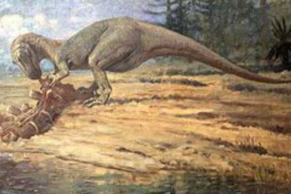 小猎龙:北美小型恐龙(长3米/被误认为长有硕大牙齿)