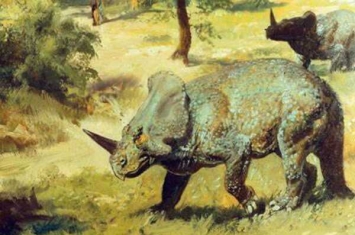 独角龙:北美大型角龙科恐龙(长6米/鼻部长独角)